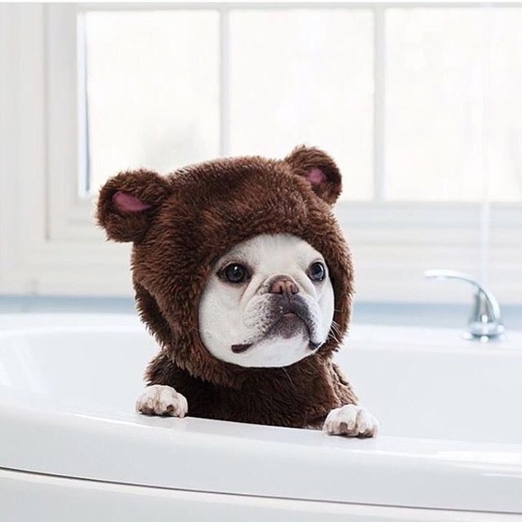 Meet your Posher, Stephanie - Picture 2 of 2